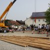 Maibaum 2013